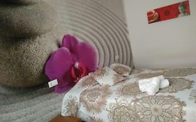 Zen House